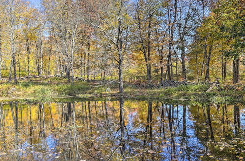 Photo 13 - Stunning Pawling Retreat w/ Ponds & Waterfall