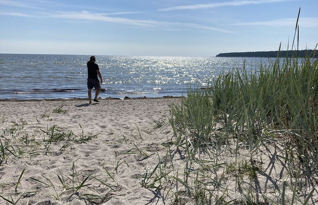 Villa Vitvikena in Gotland, Pool - Foto 37