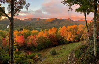 Photo 1 - Bright Sapphire Escape Near Hiking & Golfing