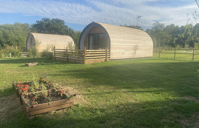 Beech Pod Cabin in Beautiful Surroundings Wrexham - Foto 31