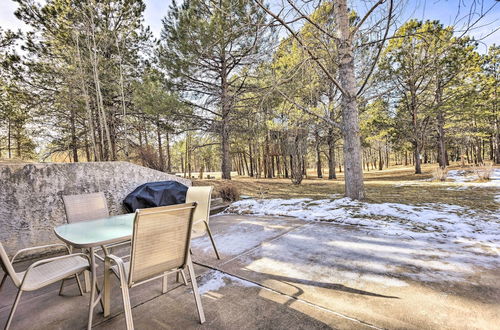 Photo 9 - Cozy Apt - Near Usafa & Garden of the Gods