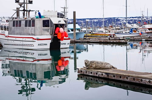 Photo 20 - Home w/ Kachemak Bay View - 5 Miles to Downtown