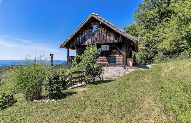 Vineyard Cottage Pavlin 1 - Foto 24