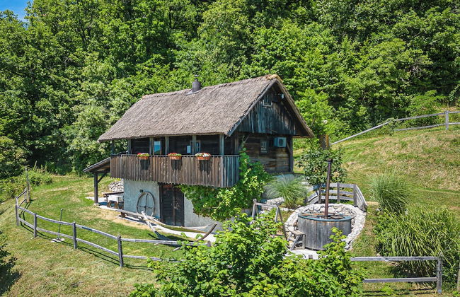 Vineyard Cottage Pavlin 1 - Foto 1