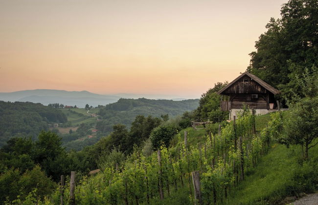 Vineyard Cottage Pavlin 1 - Foto 17