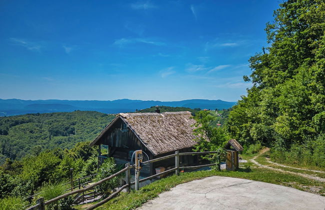 Vineyard Cottage Pavlin 1 - Foto 16
