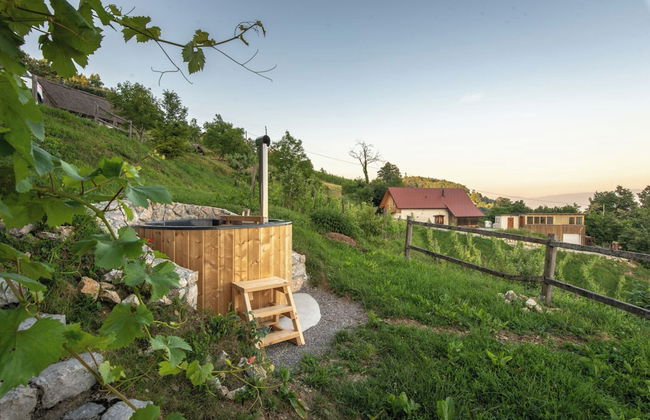 Vineyard Cottage Pavlin 1 - Foto 8