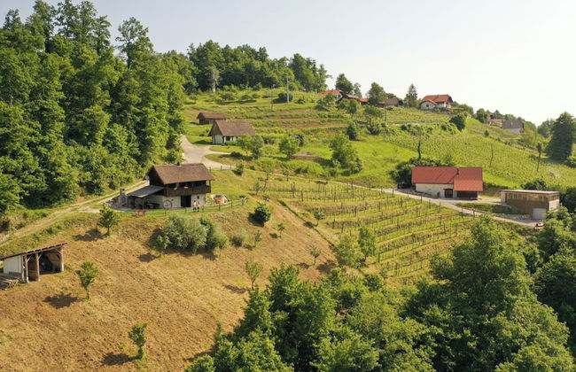 Vineyard Cottage Pavlin 1 - Foto 27