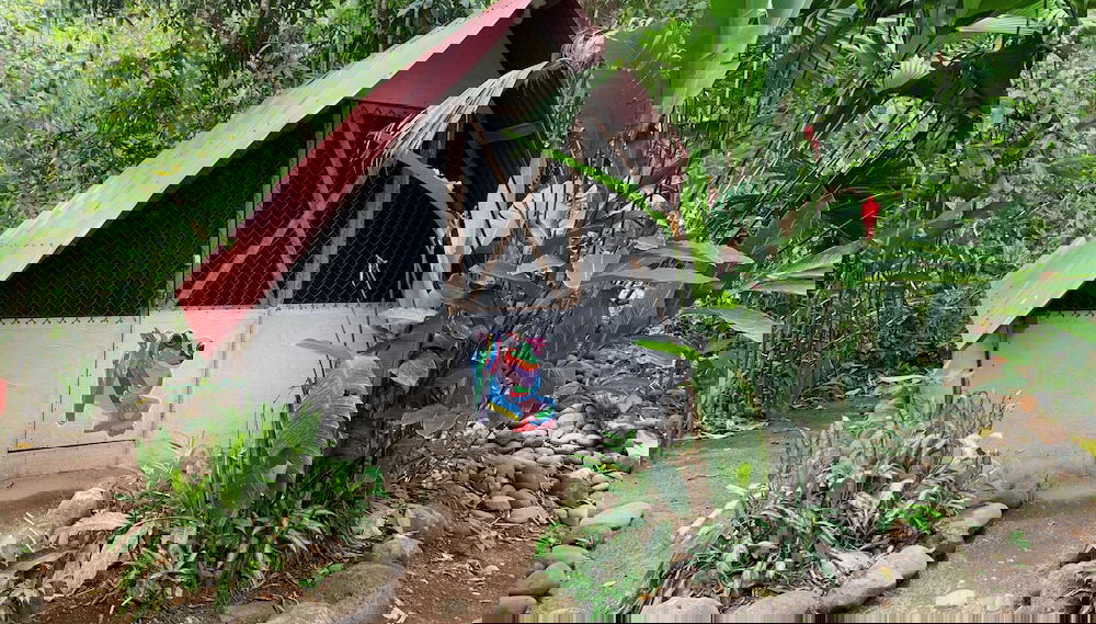 Imagem principal