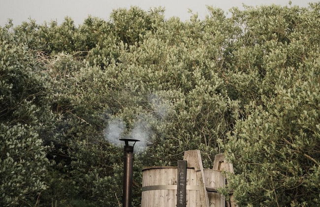K3 Kudhva Treehouse Cabin in Tintagel - Photo 16