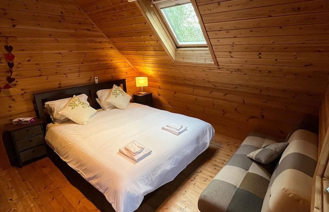 Swiss Chalet Hakuba - Photo 3
