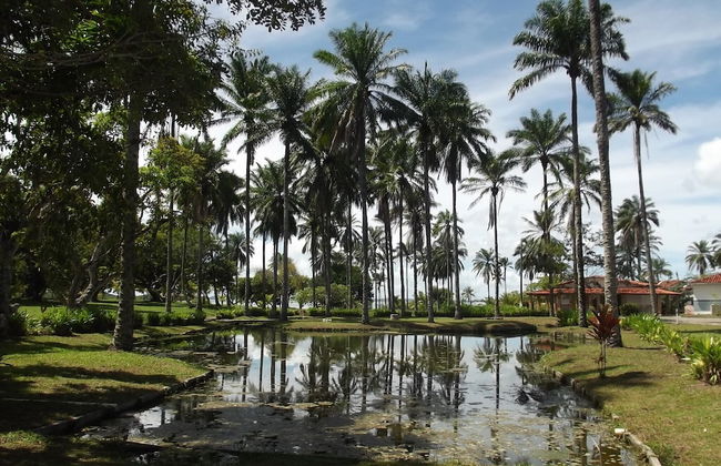 Hotel Fazenda Recanto - Foto 51