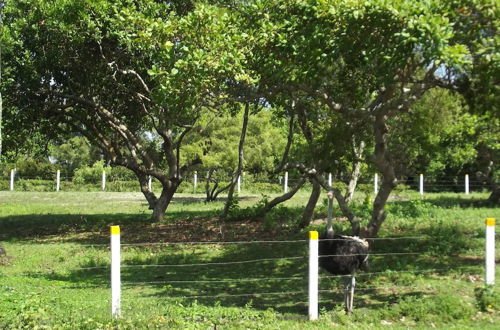 Photo 19 - Hotel Fazenda Recanto