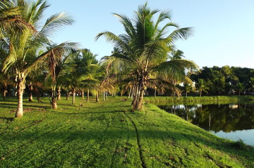 Photo 44 - Hotel Fazenda Recanto