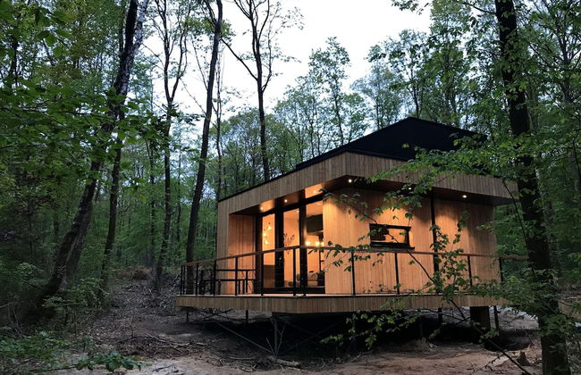 Lodge in Oignies Forest With Eco Design - Foto 21
