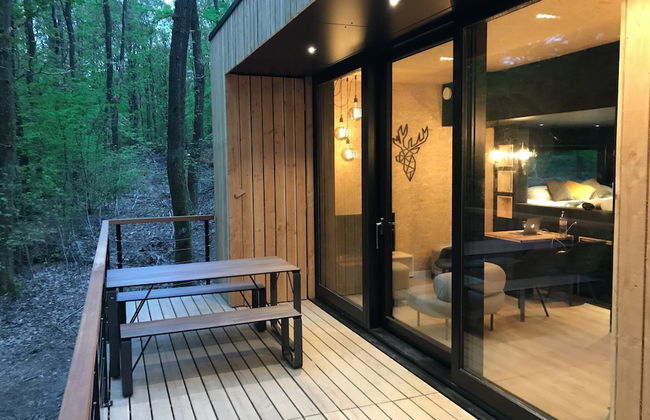 Lodge in Oignies Forest With Eco Design - Foto 1