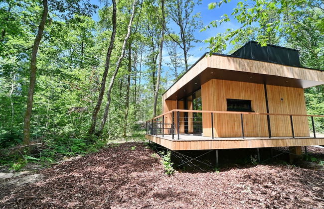 Modern, Wooden Chalet With Wood Burning Stove, in the Forest - Foto 38
