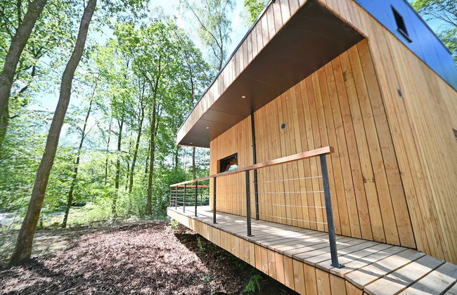 Lodge in Oignies Forest With Eco Design - Foto 20