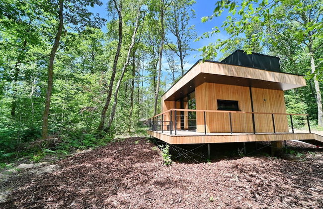 Lodge in Oignies Forest With Eco Design - Foto 35