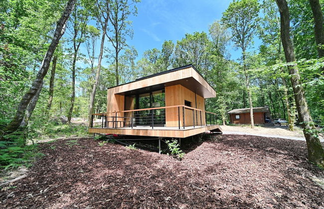 Lodge in Oignies Forest With Eco Design - Foto 30