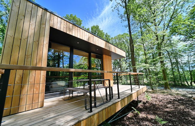 Lodge in Oignies Forest With Eco Design - Foto 1