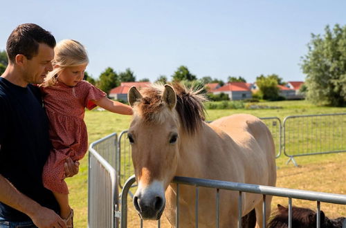 Photo 34 - Child Friendly Villa With Enclosed Garden, Near Hoorn