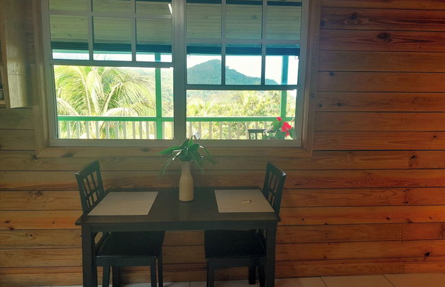 Pinard's Mountain Resort- Cottage 8 - Photo 15