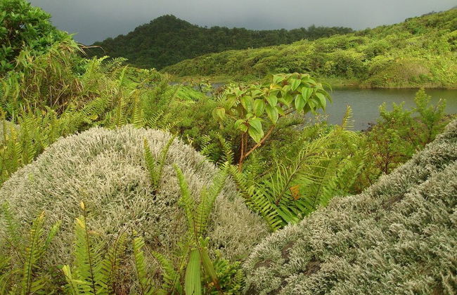 Pinard's Mountain Resort- Cottage 8 - Photo 59