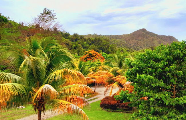 Pinard's Mountain Resort- Cottage 8 - Photo 41