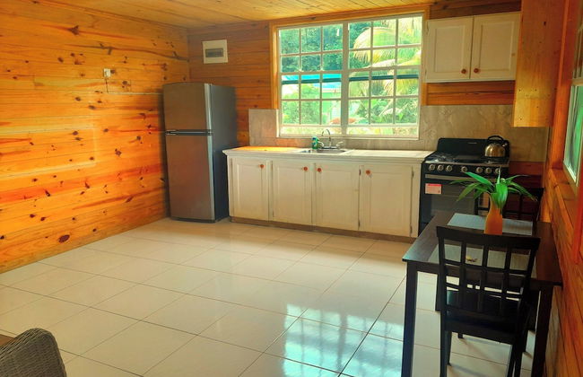 Pinard's Mountain Resort- Cottage 8 - Photo 37