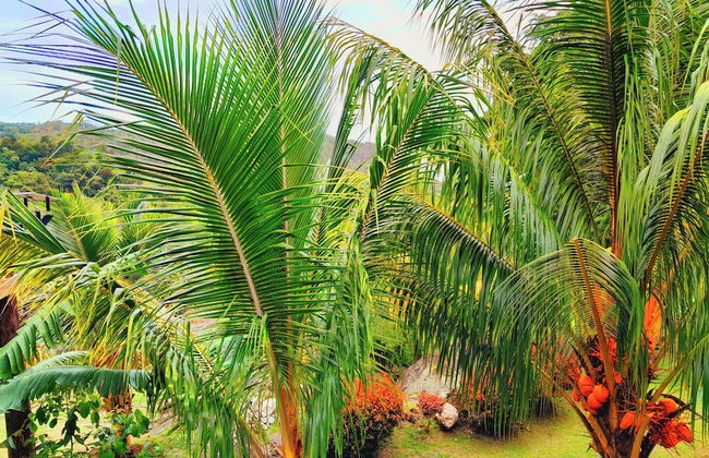 Pinard's Mountain Resort- Cottage 8 - Photo 40