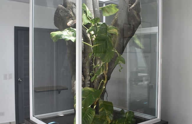 El Salvador Surf Houses - Photo 21