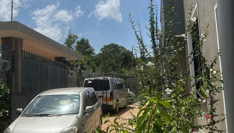 Imagem principal