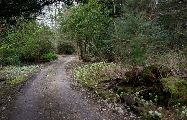 Ranch House Cottage Inverurie Aberdeenshire - Foto 28