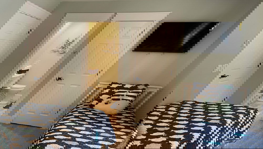 Imagem principal