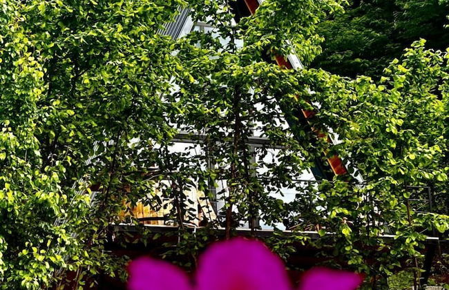 GreenWood Merisi - Foto 46