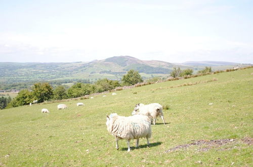 Foto 48 - Brambles Farm Peak District Lodge