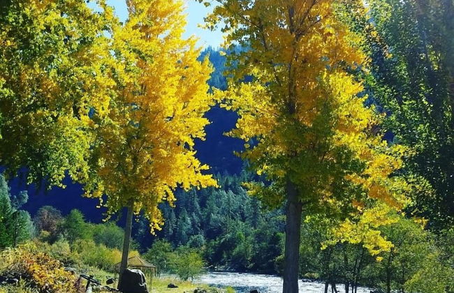 Strawhouse Resorts - Photo 63