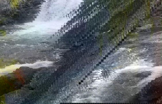 Strawhouse Resorts - Photo 54