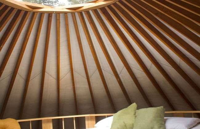 Strawhouse Resorts - Photo 11