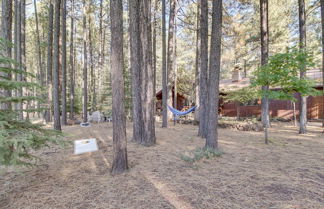 Photo 2 - Pinetop Cabin w/ 2 Fireplaces & Hot Tub