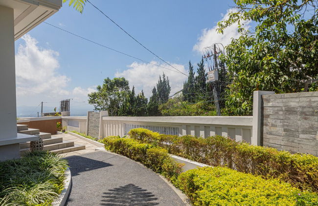 Lavender - Taman Tanda - Foto 29