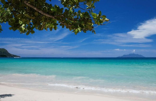 Alpha & Omega Seychelles - Foto 26