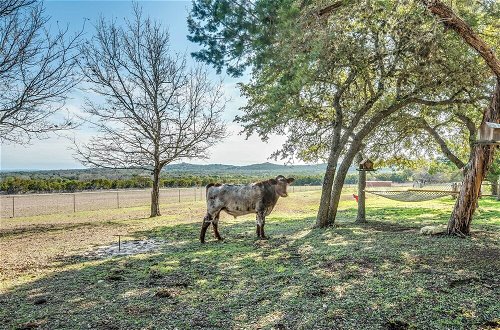 Photo 12 - Beautiful Hill Country Ranch Home - 4 Mi to Town