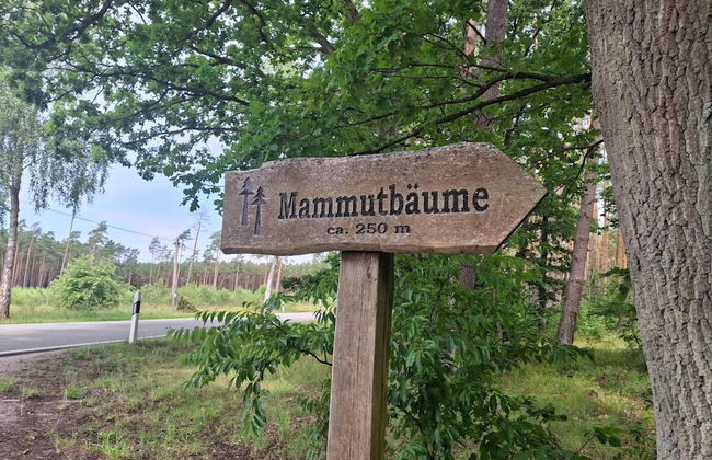 Chalet in Wendorf - Foto 34