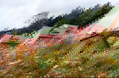 Foto 48 - Holiday Homes in the Schierke Harzresort on the Brocken, Schierke
