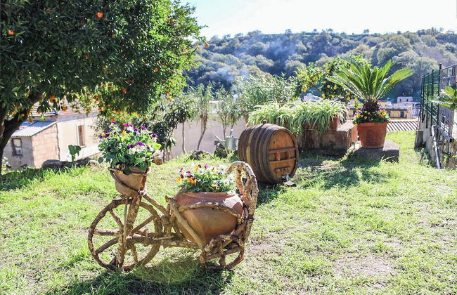 Antica Cantina Emilia - Foto 50