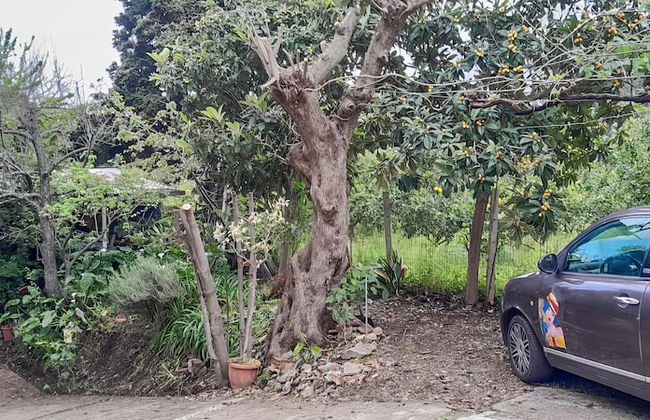 Casa Da Zio Cece - Foto 24