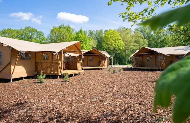 EuroParcs Het Amsterdamse Bos - Foto 2