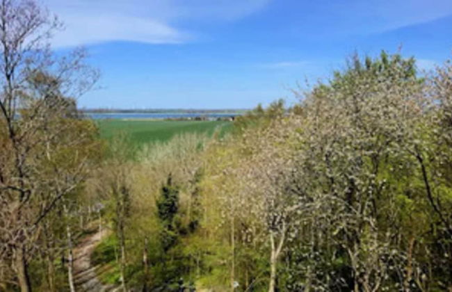 Holiday Home Lotsenhaus am Breetzer Bodden - Foto 23